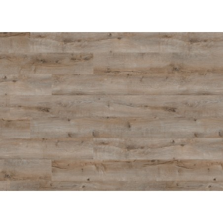 Parchet Laminat Ecologic F14 Oak willow grey plank 1101021706