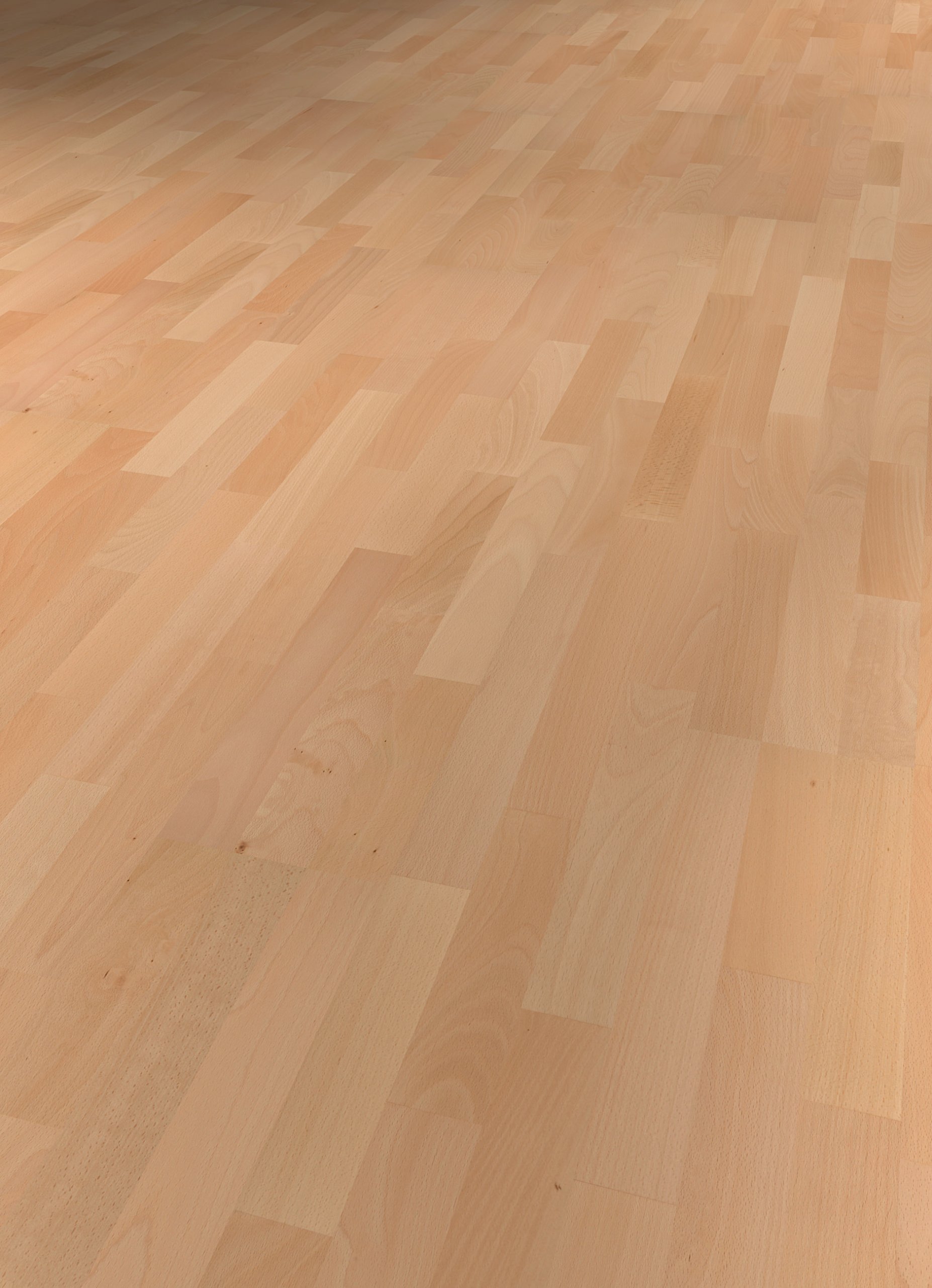 Beech Procida 3-strip - imagine 4