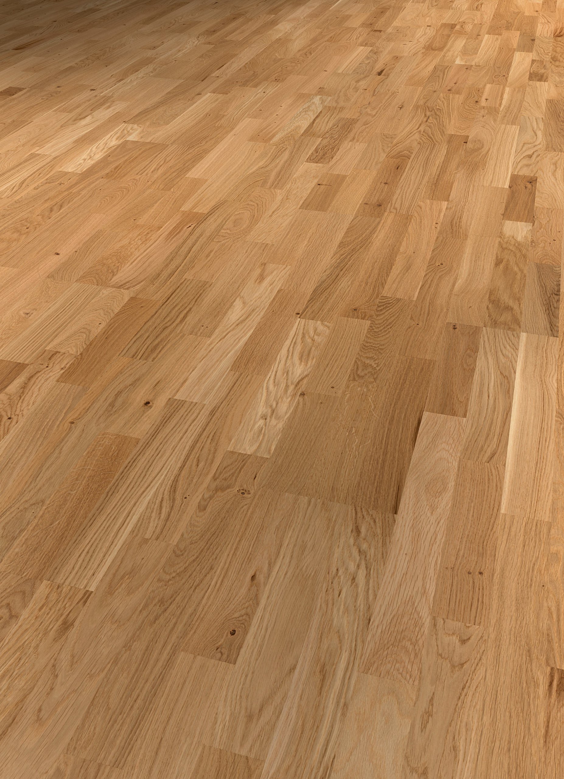 Oak 3-strip - imagine 4