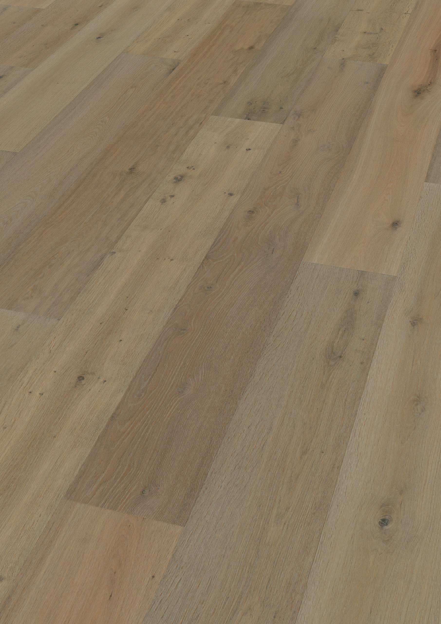 Oak Great Basin plank
