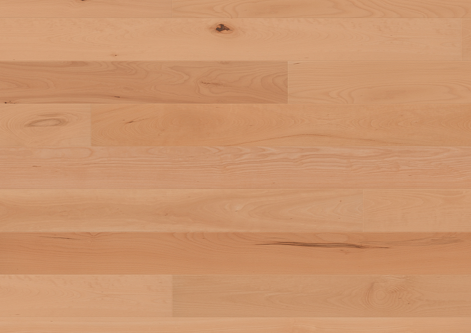 Beech Santa Cruz plank - imagine 2
