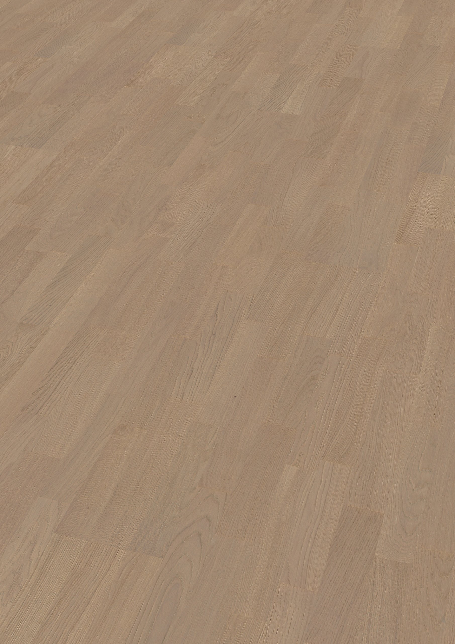 Oak Mosella 3-strip - imagine 5