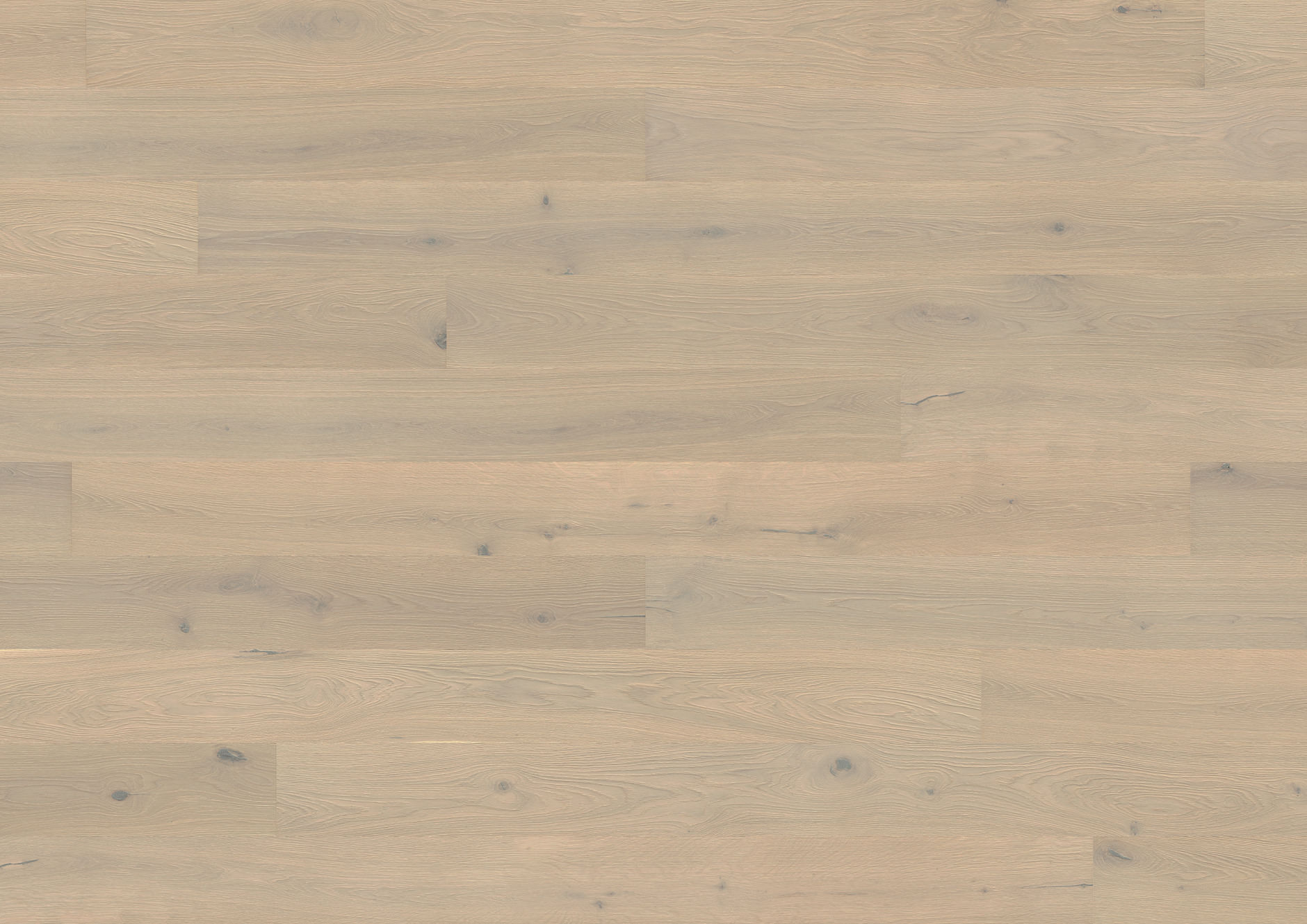 Oak Park Avenue plank - imagine 2