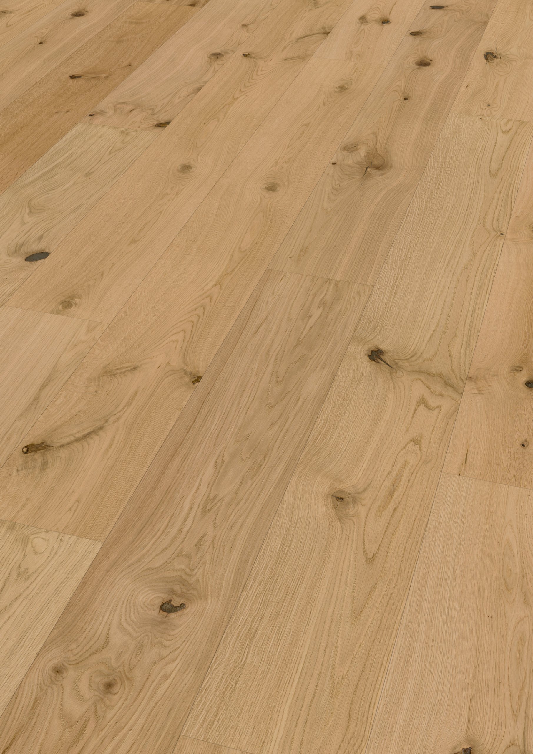 Oak Caledonian Forest plank