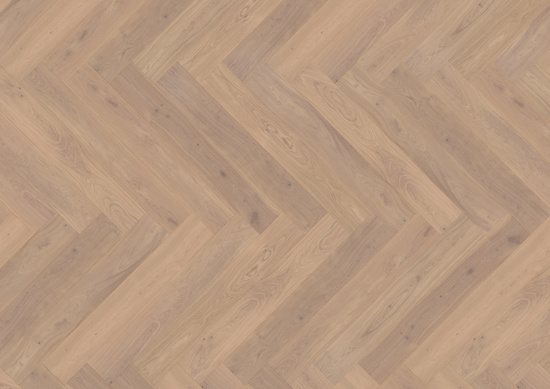 Oak Rügen herringbone - imagine 5