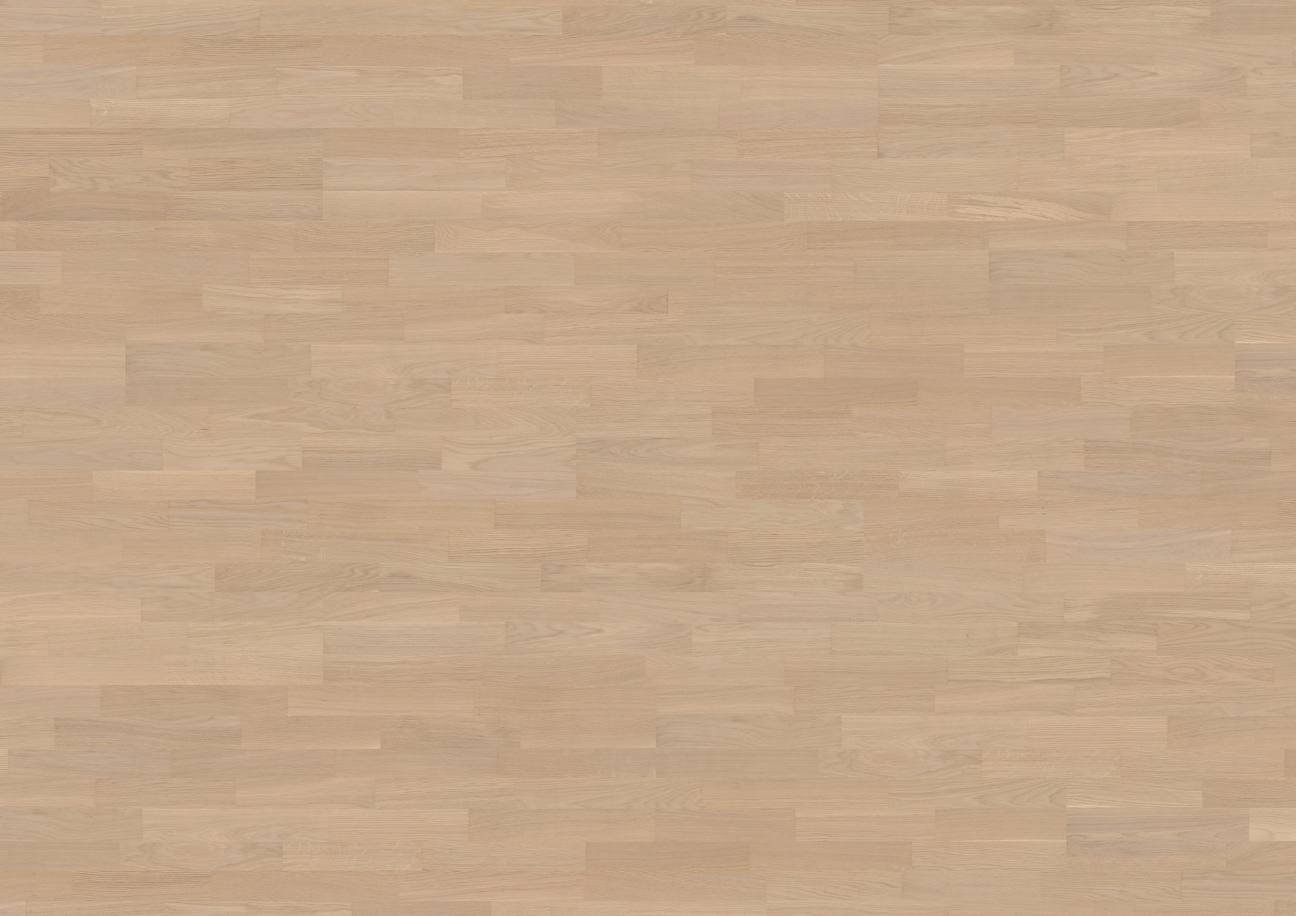 Oak Pinot 3-strip - imagine 4