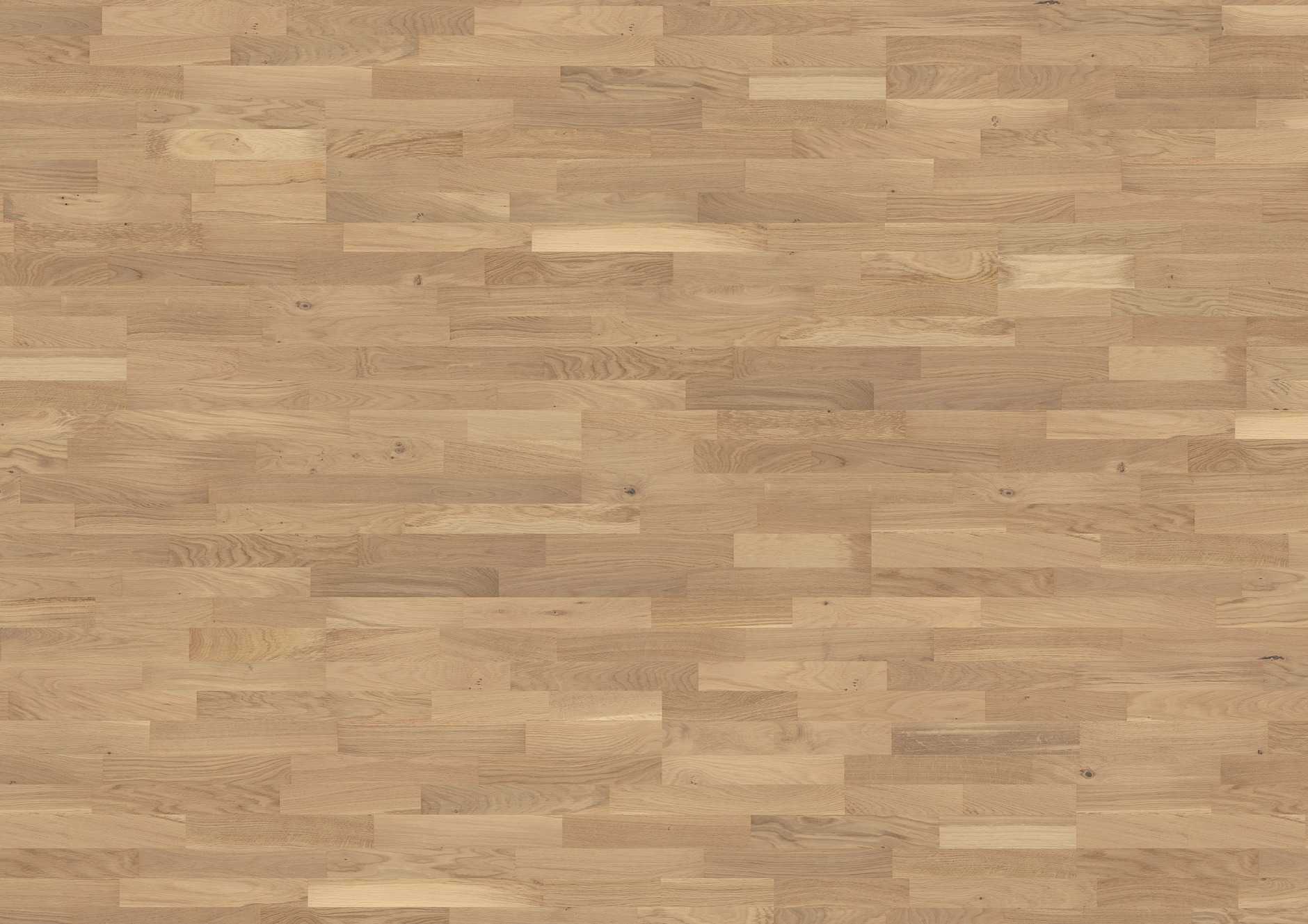 Oak Sauvignon 3-strip - imagine 4