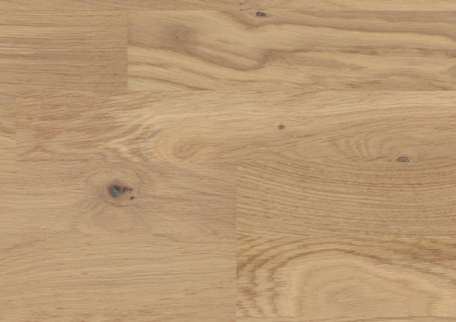 Oak Sauvignon 3-strip