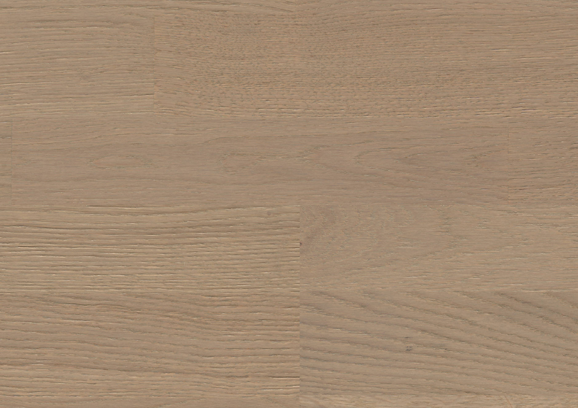 Oak Mosella 3-strip