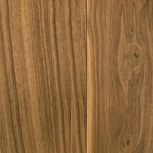 American Walnut