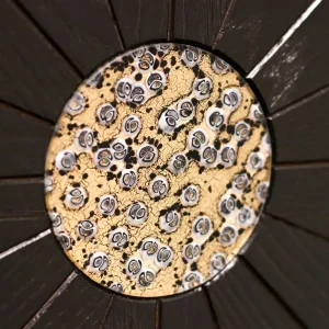Alternative view of The Murrine