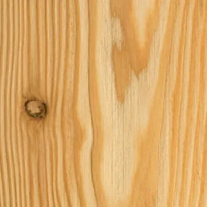 Larch