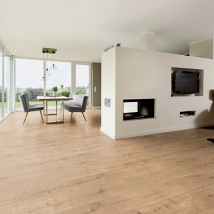 Alternative view of Oak Elba plank