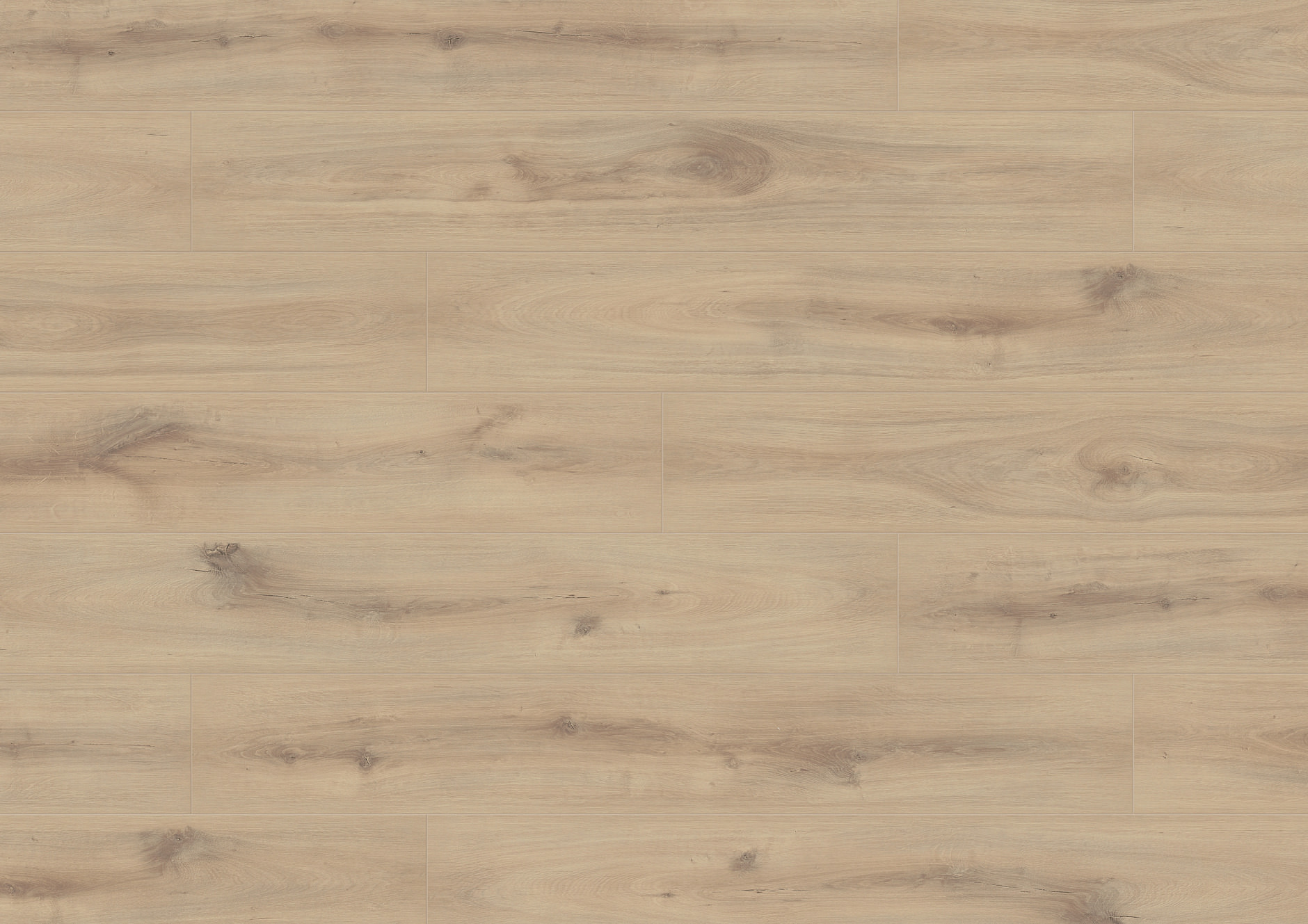 Oak Zanzibar plank