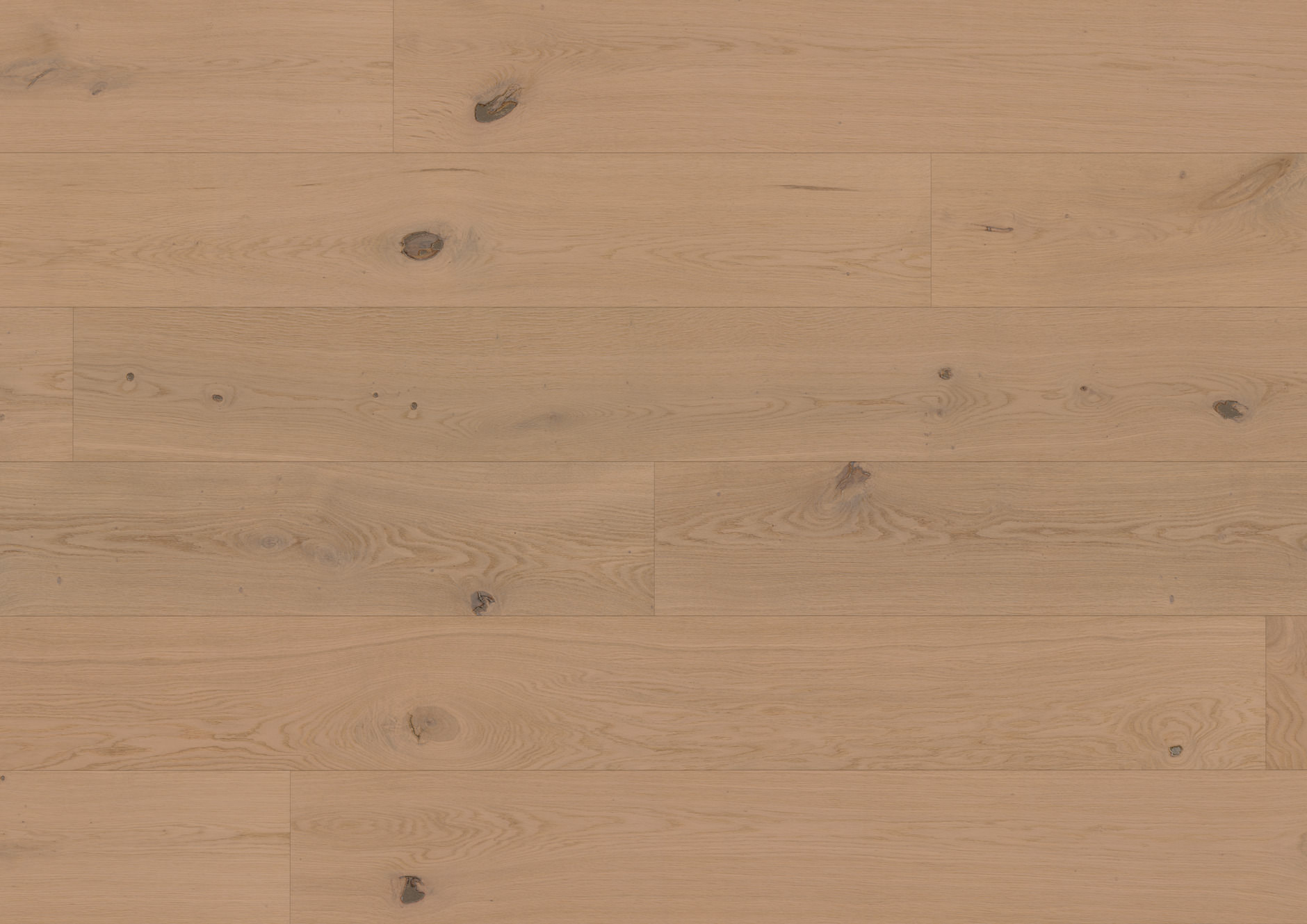 Oak Nieuw Land plank - imagine 5