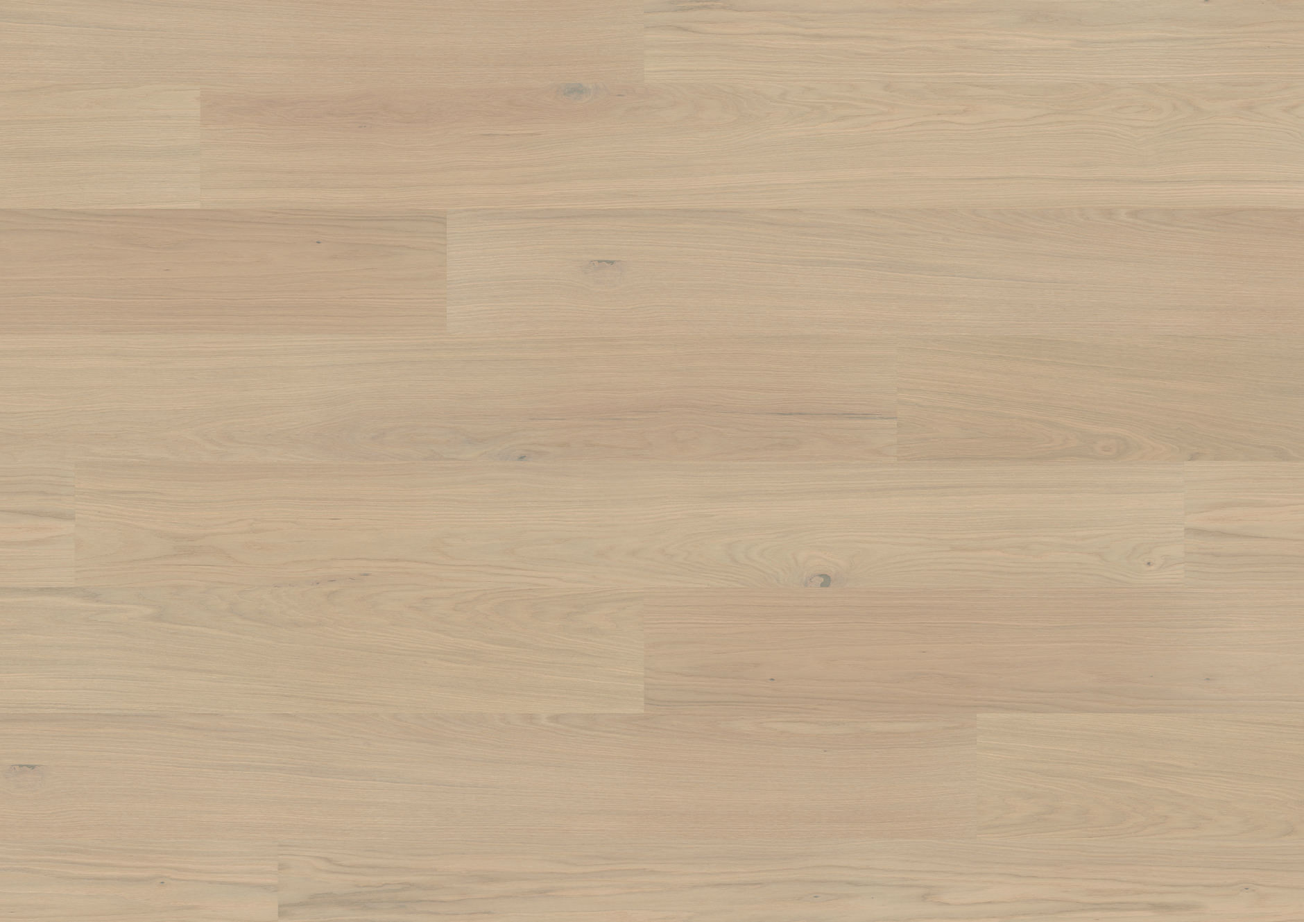 Oak Outer Banks extra-wide plank - imagine 5