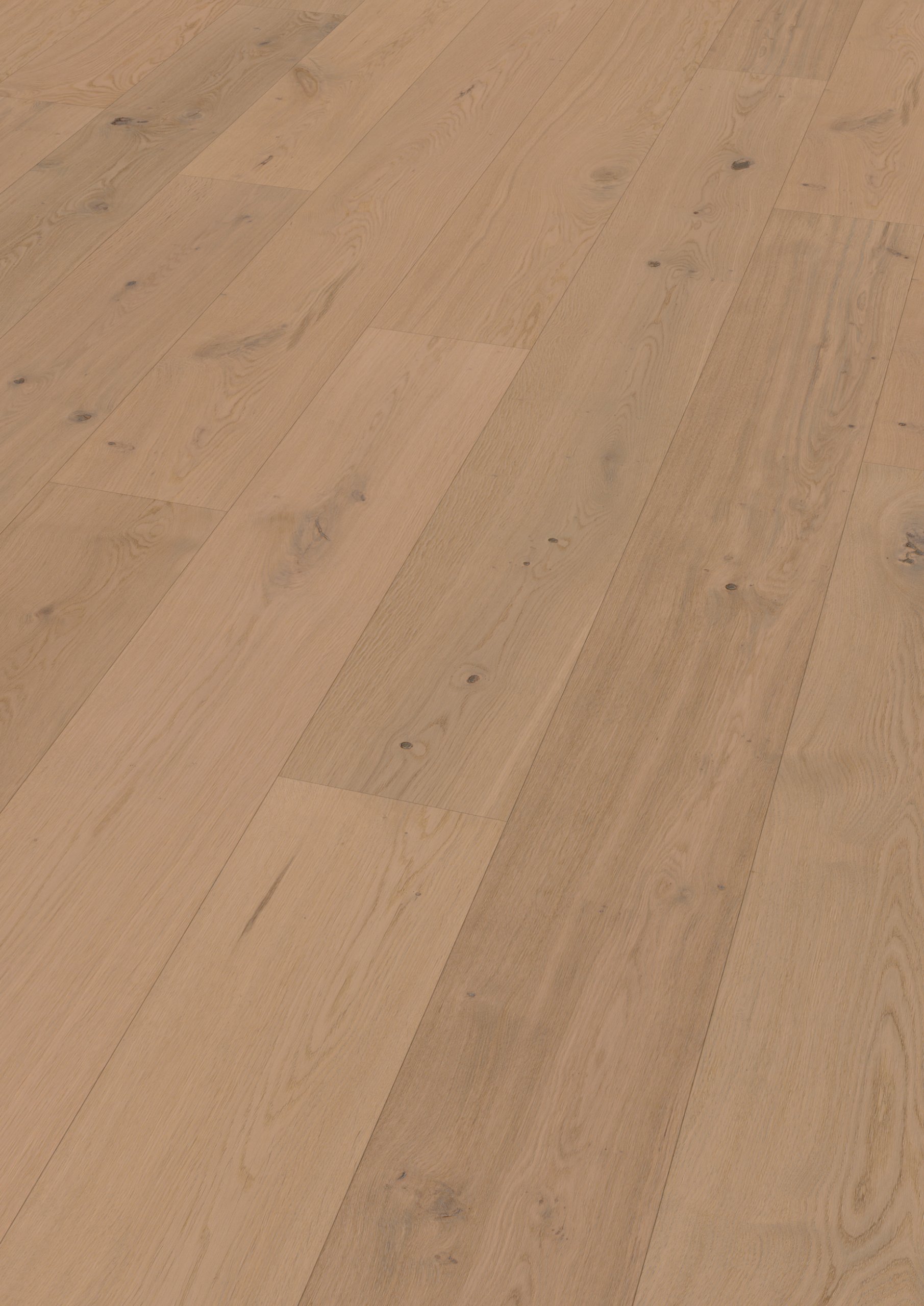 Oak Nieuw Land plank