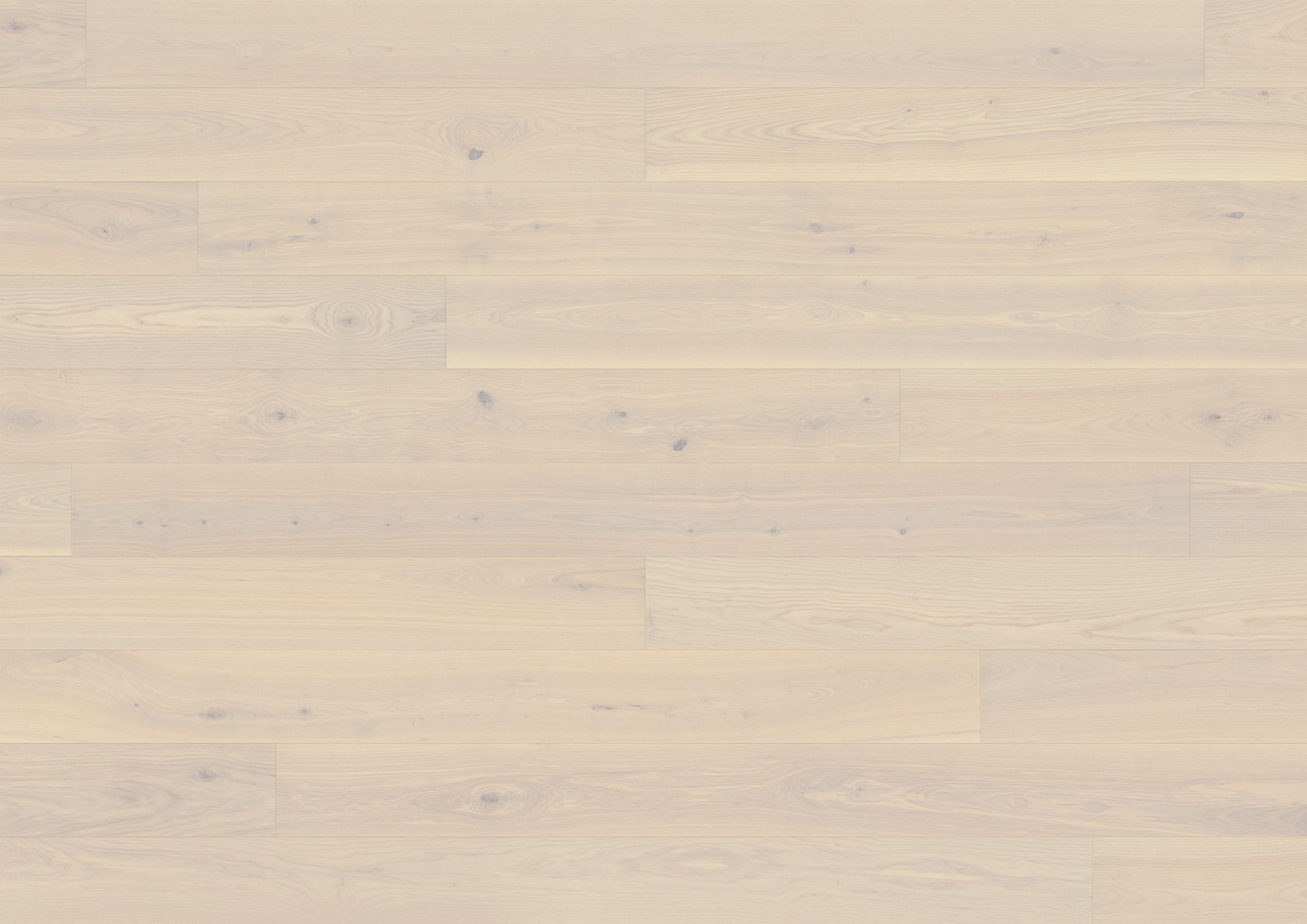 Ash Nordnes plank - imagine 2