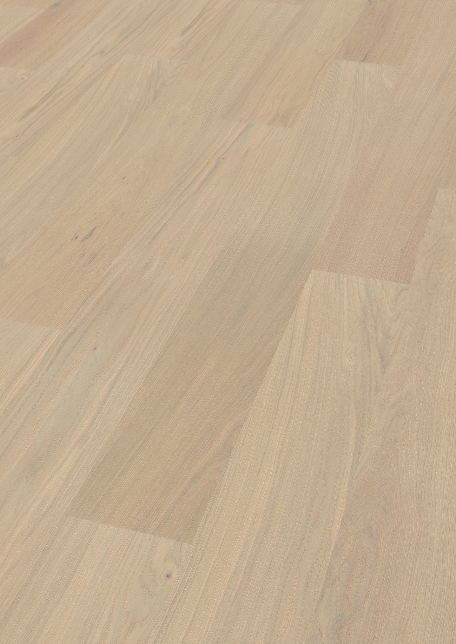 Oak Outer Banks plank