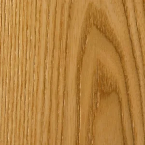 Elm