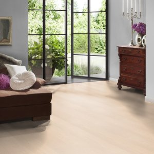 Alternative view of Ash Yoho plank