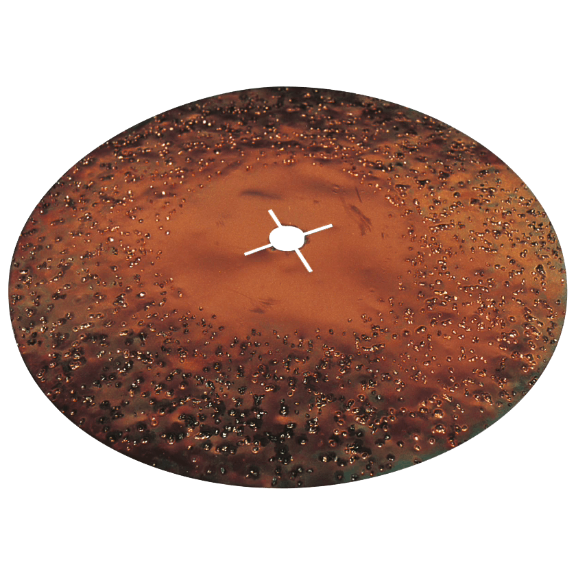 Disc Abraziv Vidia Dublu-Fata Wolff Ø375-400mm pentru Sapa si Adeziv